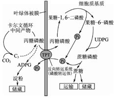 丙meaning|丙 meaning